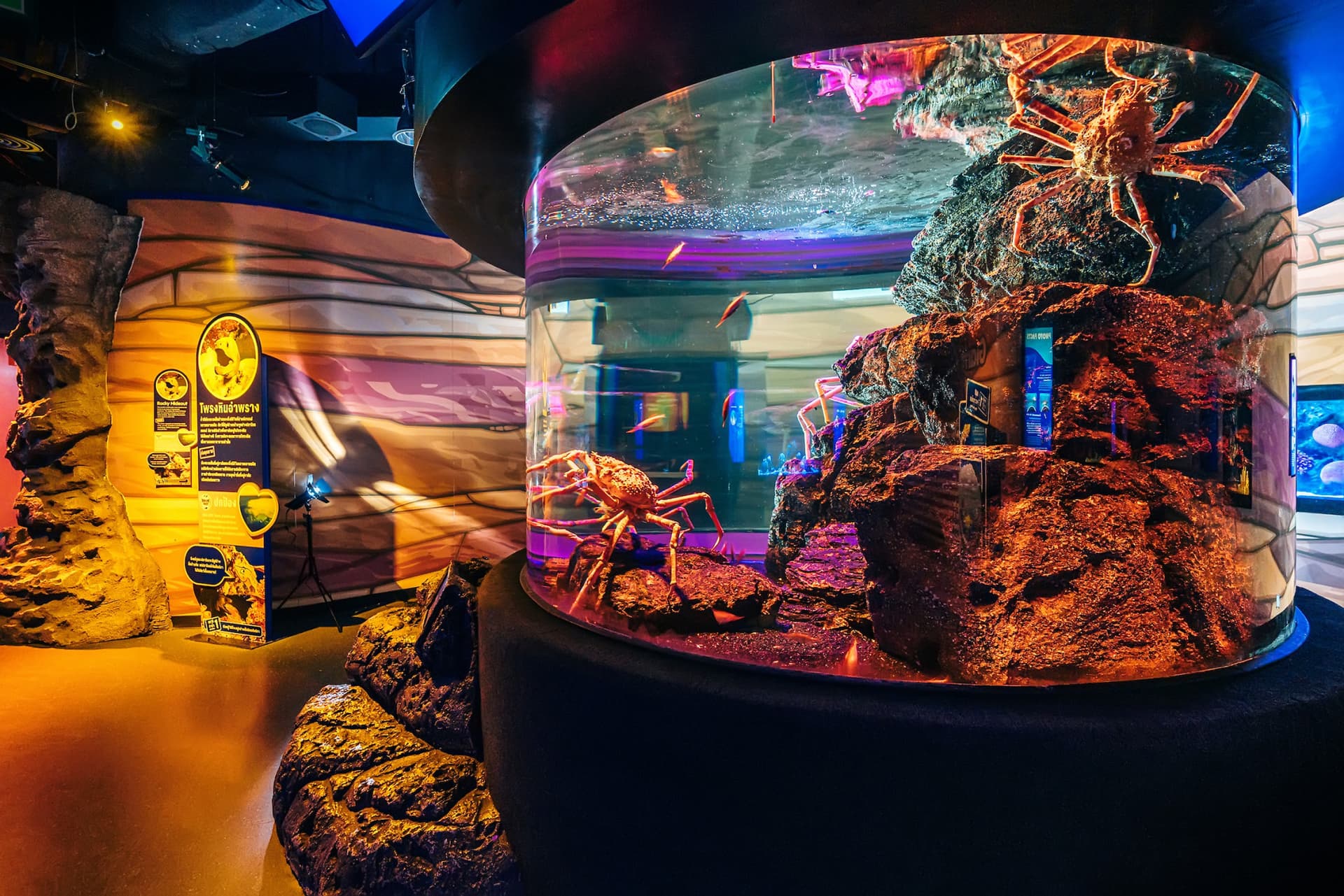 COMBO: SEA LIFE Bangkok Ocean World + Madame Tussauds Bangkok Tickets - image 3