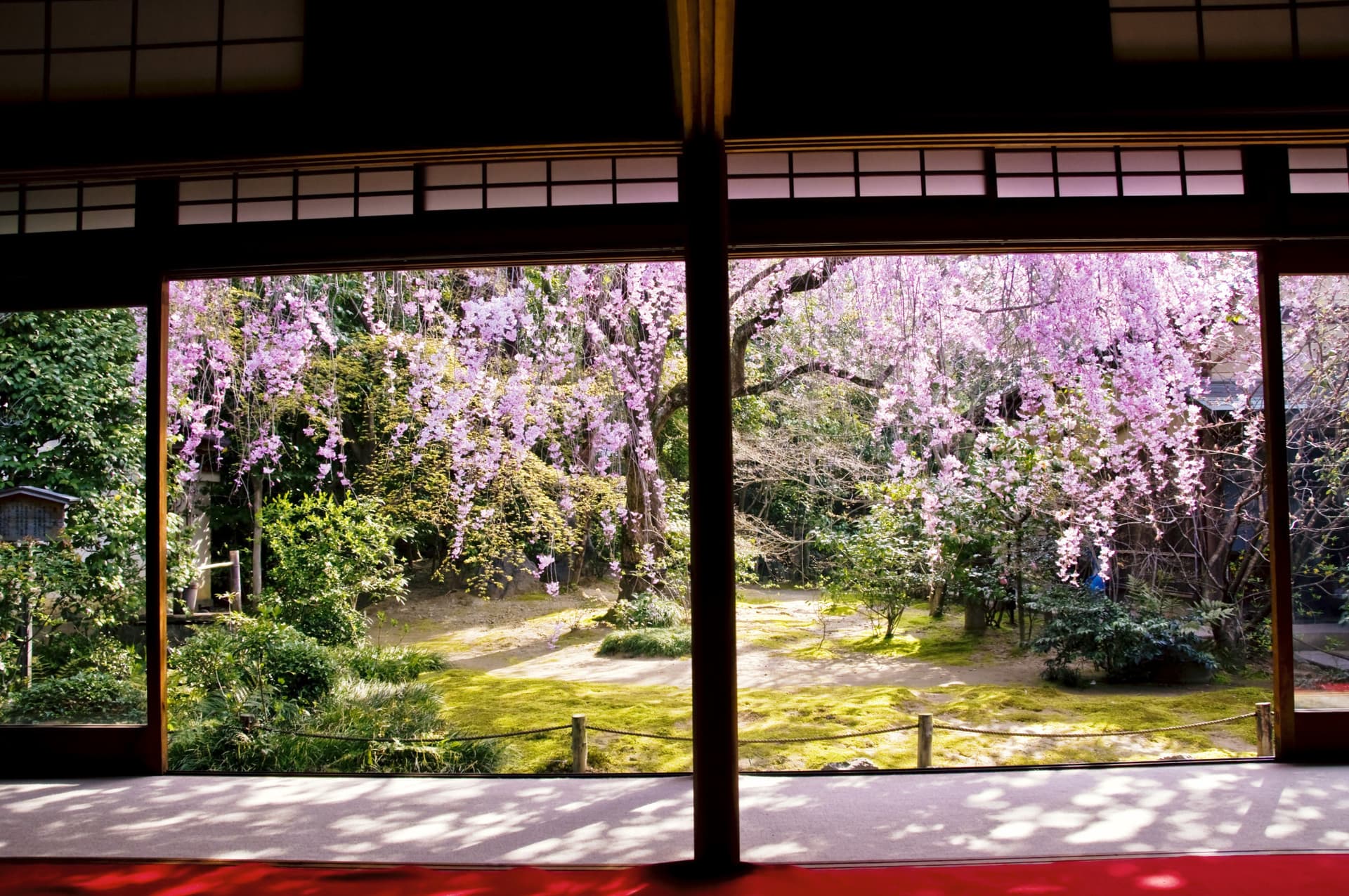 Myoshinji Temple Self-Guided Tour with Lunch - image 5