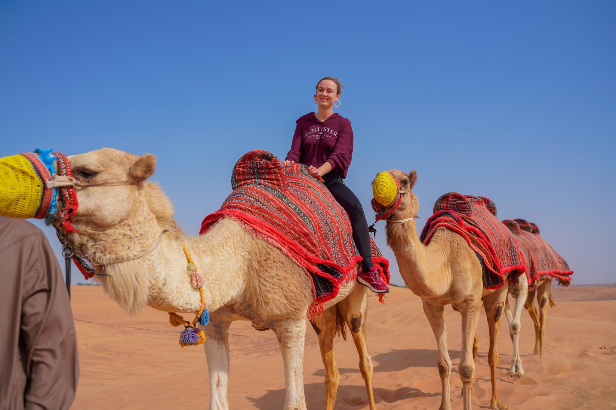 Dubai Red Dunes Desert Safari Tour with Camel Ride and Buffet Dinner at Al Khayma Camp - image 2