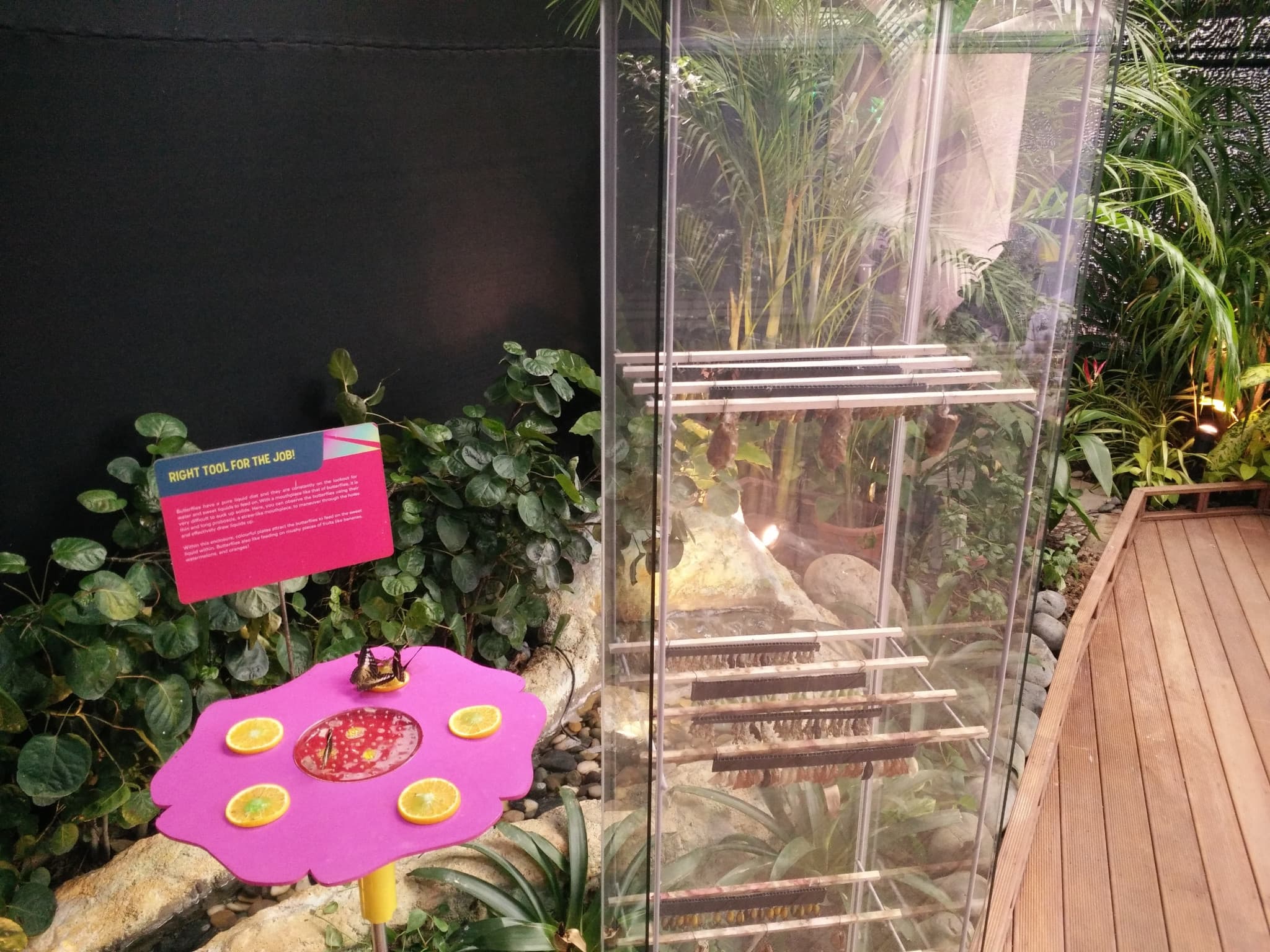 Science Centre Singapore, Omni Theatre, and KidsSTOP Singapore Ticket - image 6