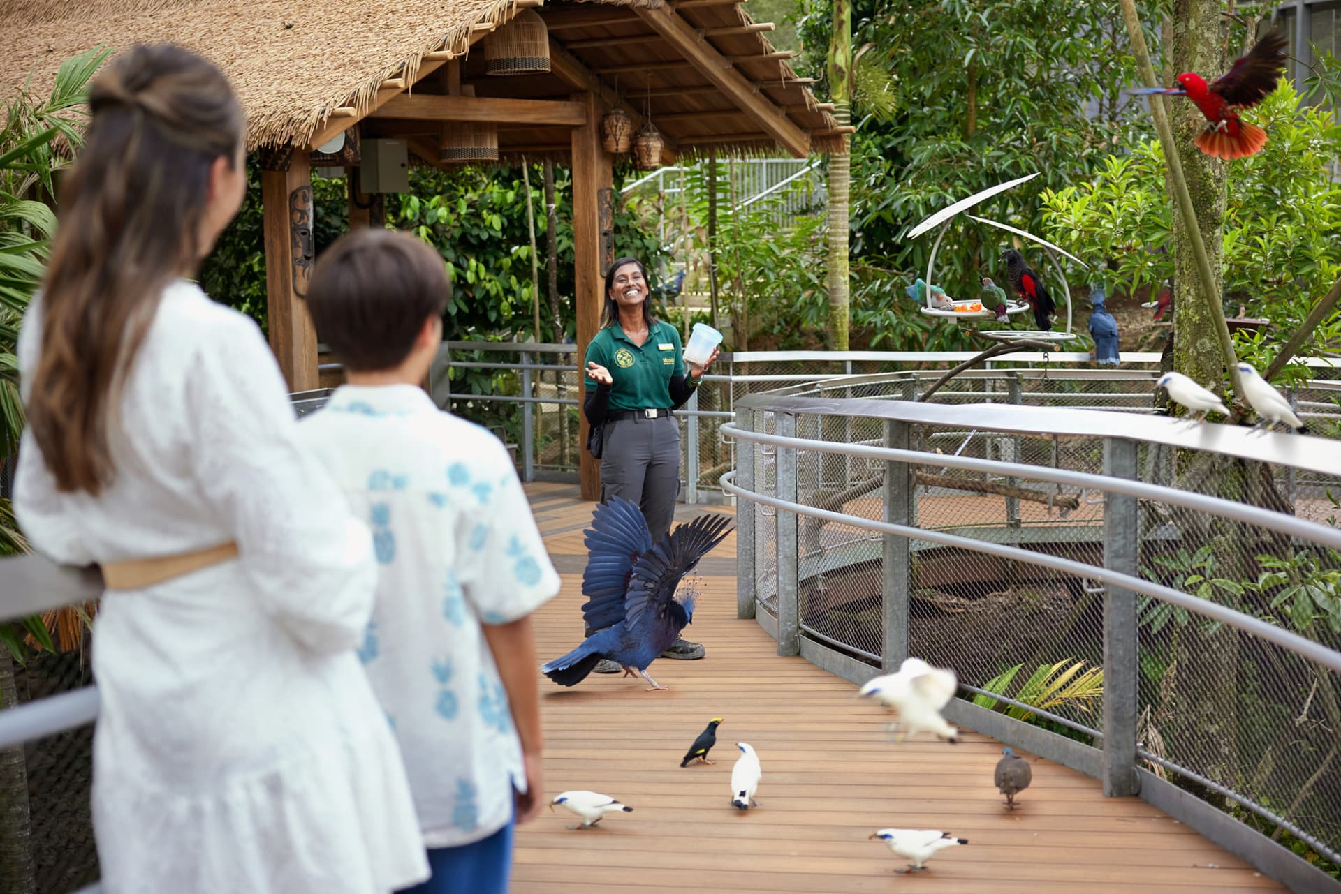 COMBO: River Wonders + Bird Paradise Ticket - imagen 21