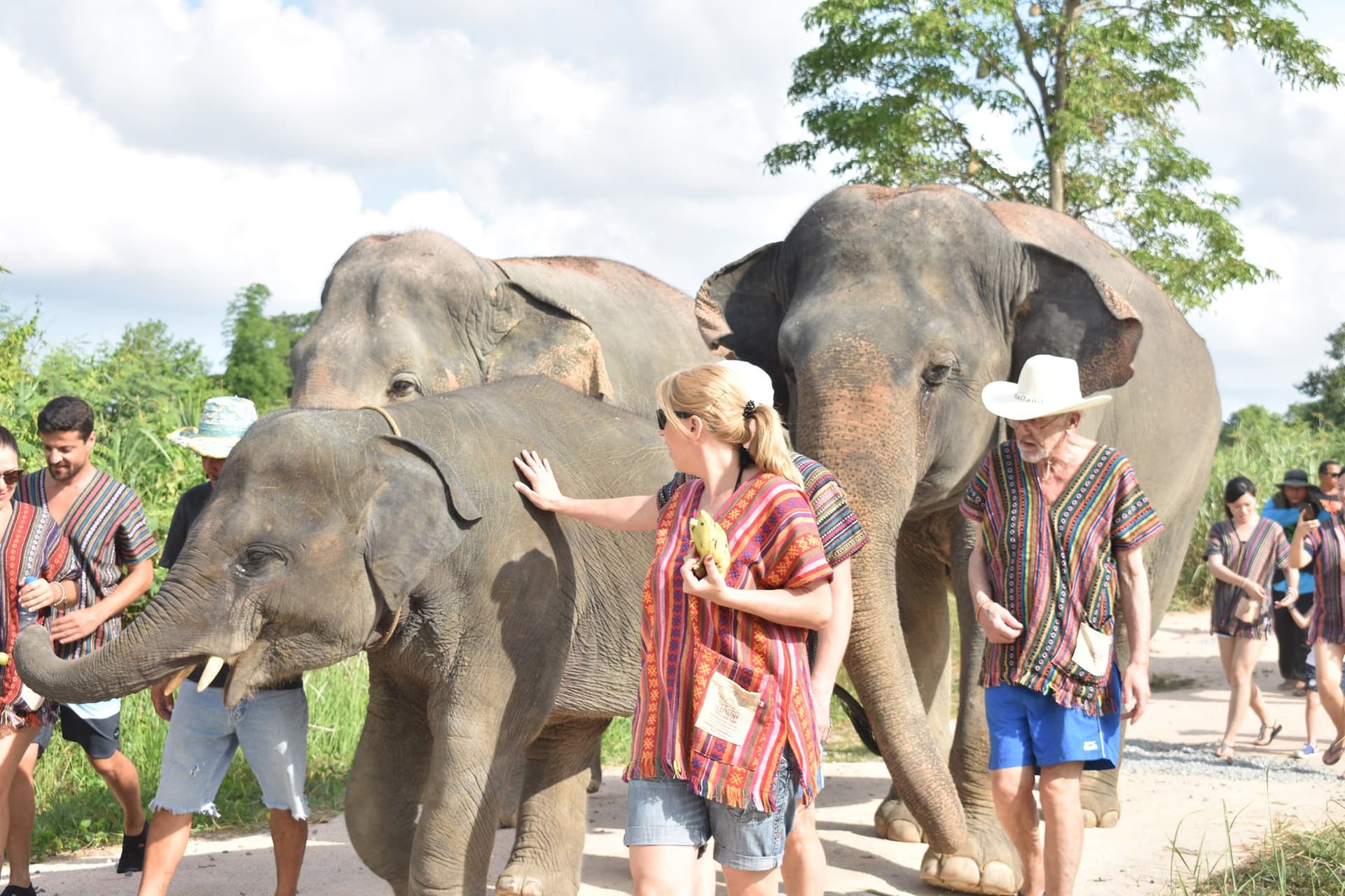 Elephant Jungle Sanctuary Pattaya - image 4