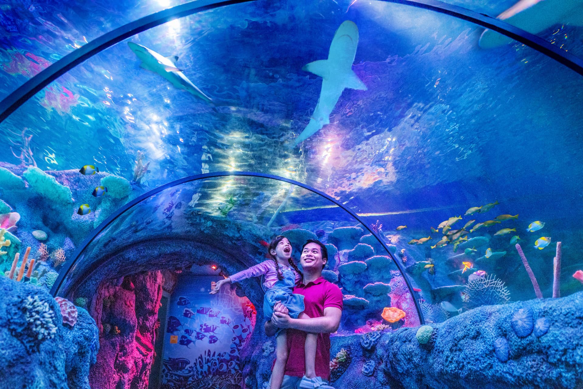 LEGOLAND Malaysia Resort Ticket - image 13