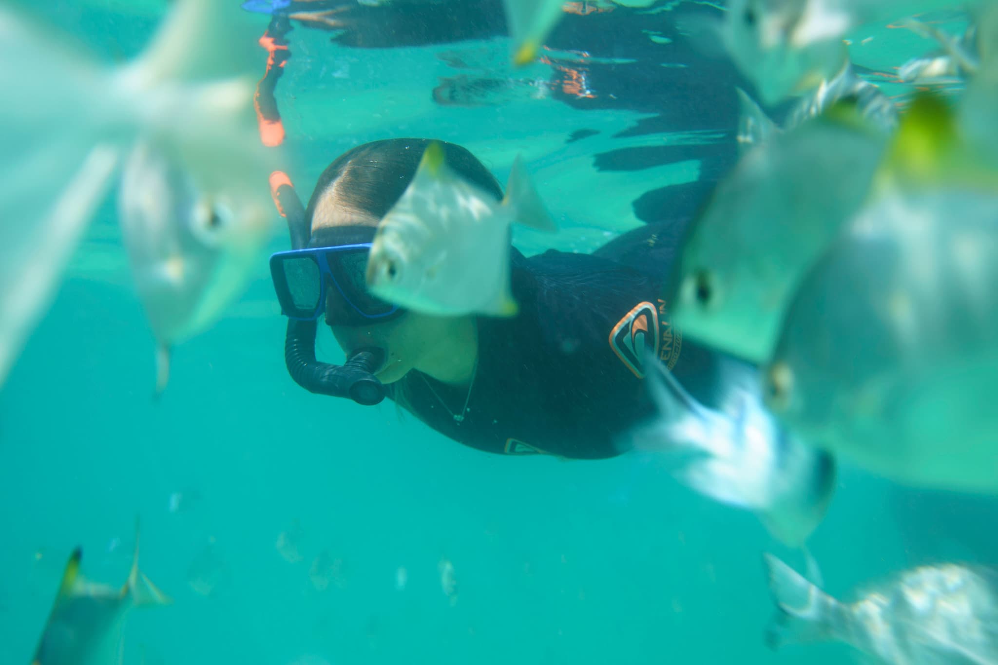 Moreton Island 1-Day Adventure Tour with Kayaking and Sandboarding - image 17