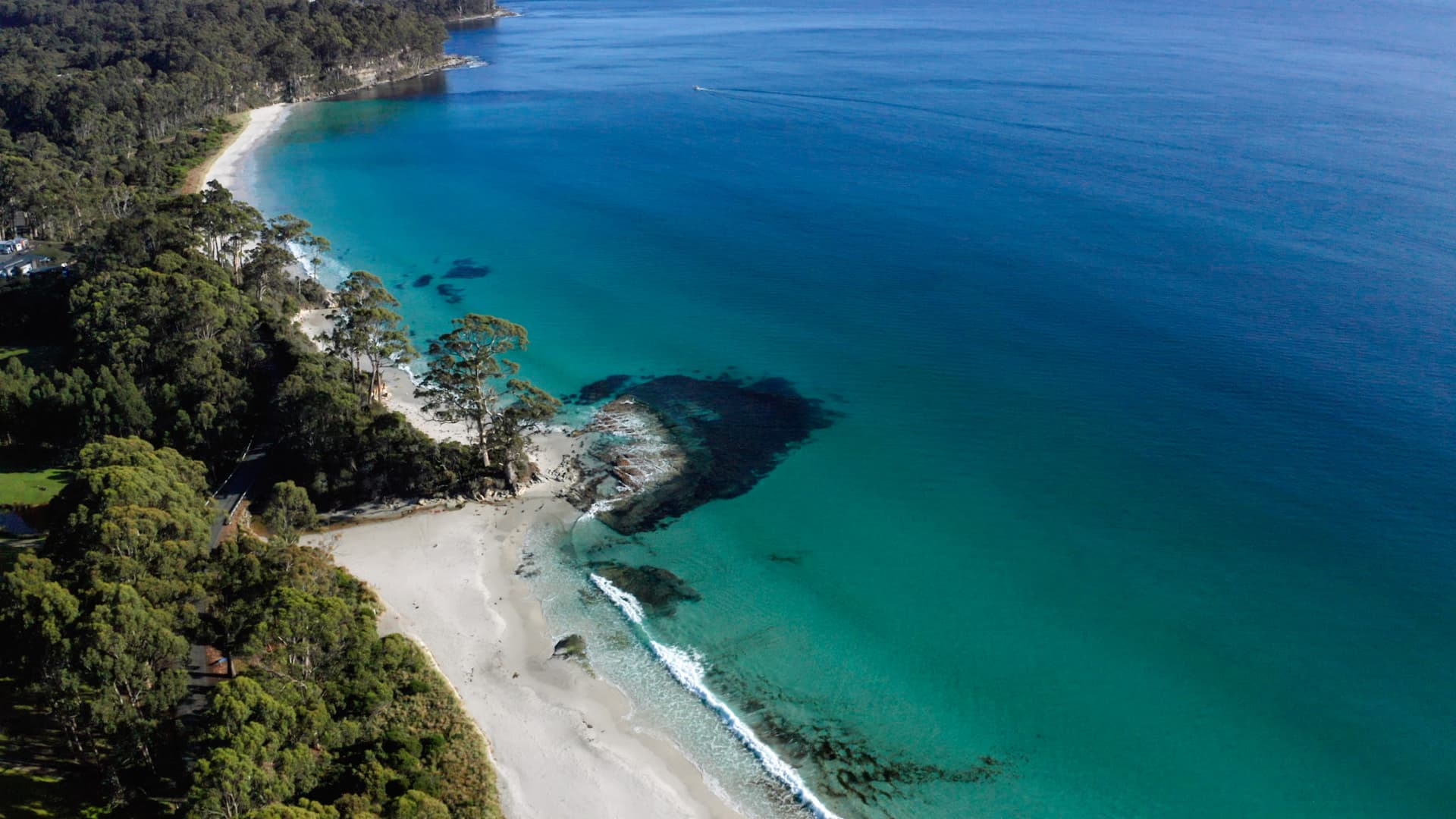 Tour de día completo de gastronomía, paisajes y faro en Bruny Island desde Hobart - imagen 2