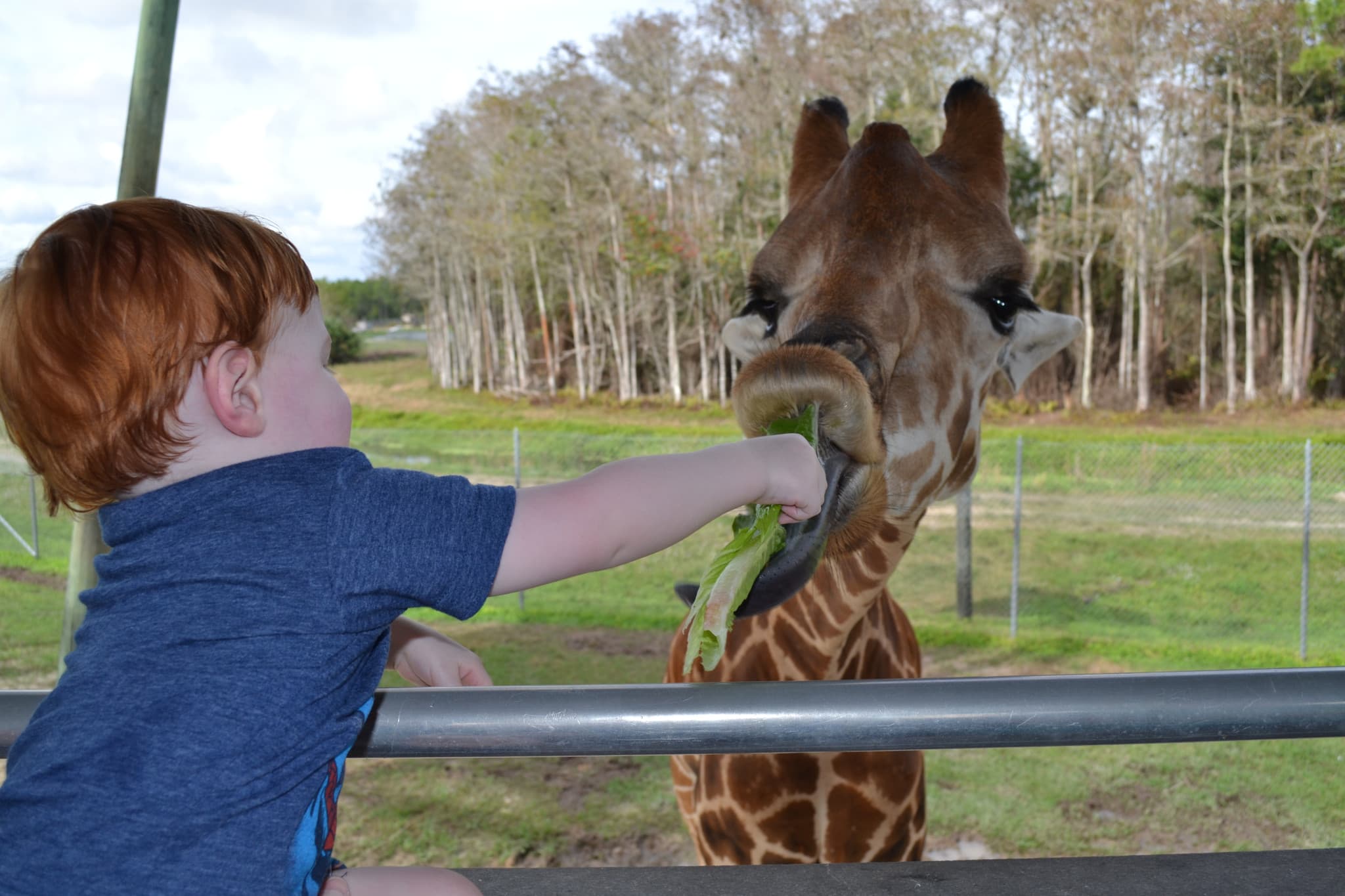 Go City Miami Explorer Pass: Save up to 50% on Attractions - image 22