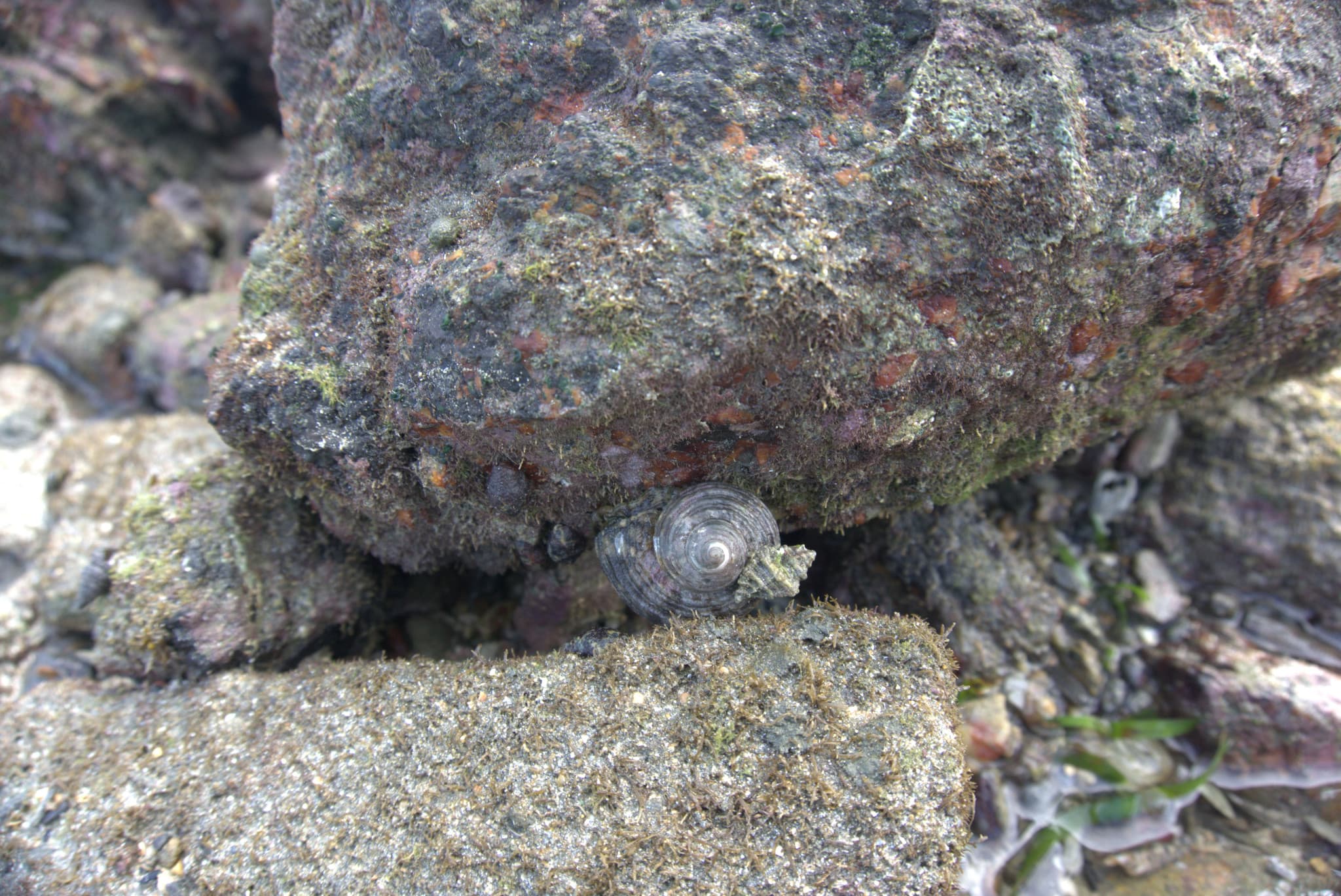 Desaru Beach and Tide Pool Walk - image 29