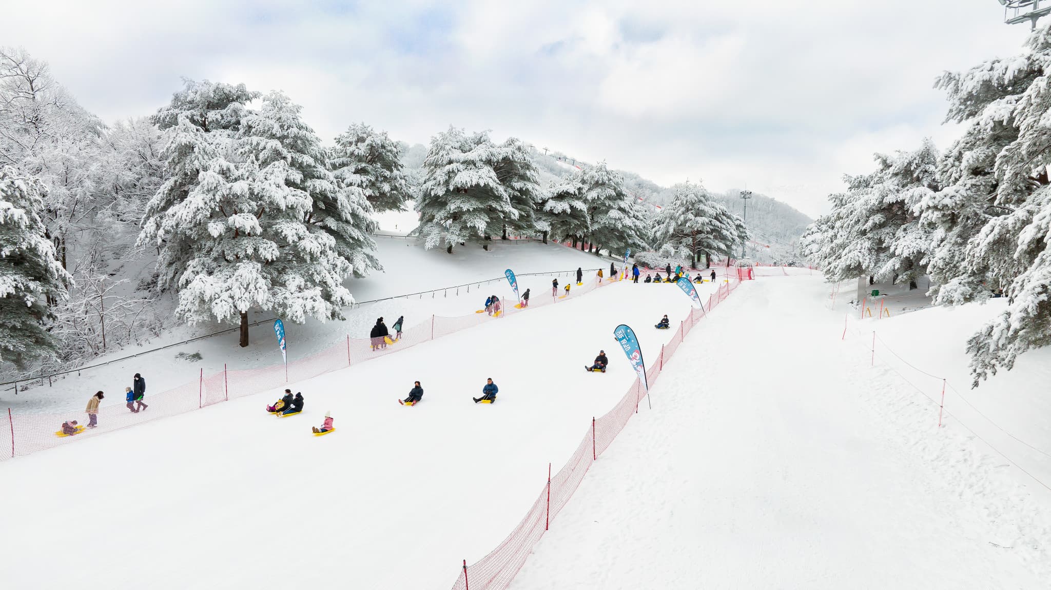 Vivaldi Park Winter Ski and Eobi Ice Valley Day Tour from Seoul - image 14