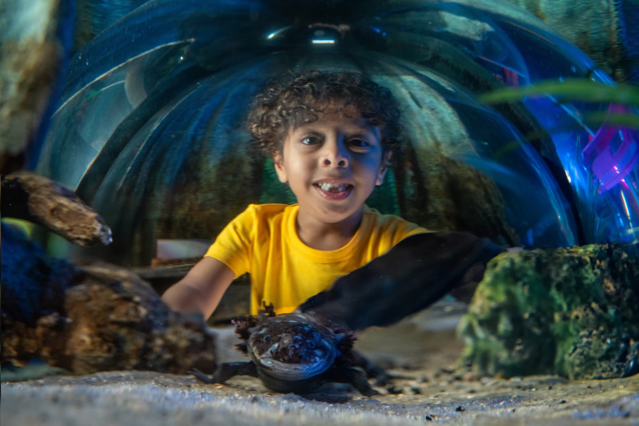 COMBO: Madame Tussauds Orlando + SEA LIFE Orlando Aquarium Ticket - image 8