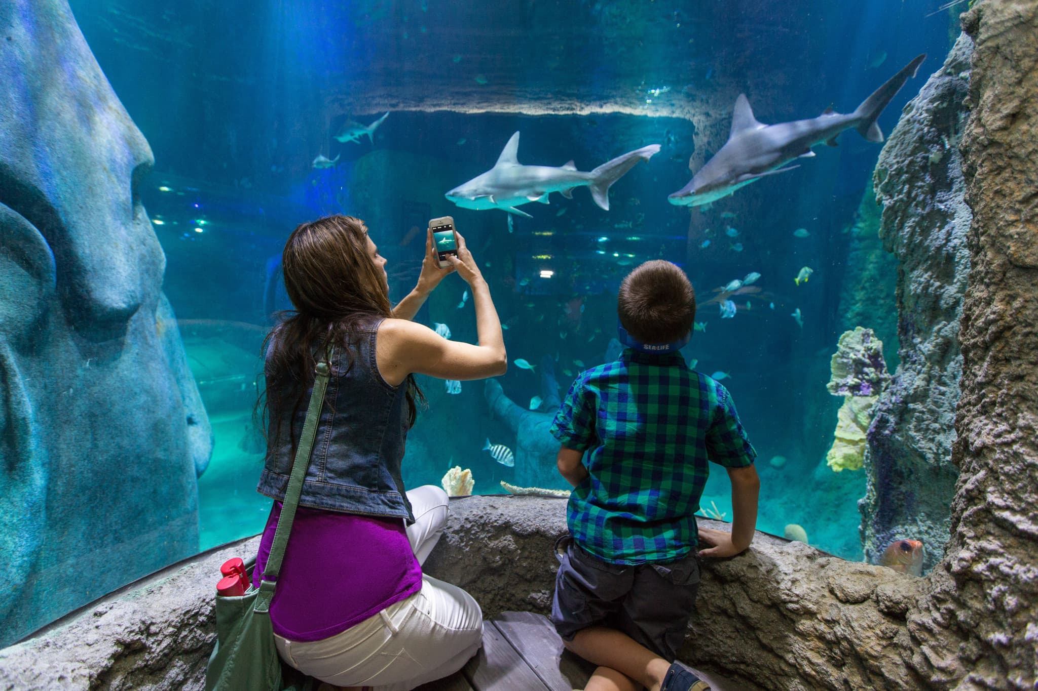 Go City Orlando Explorer Pass: Save up to 50% on Attractions - image 6