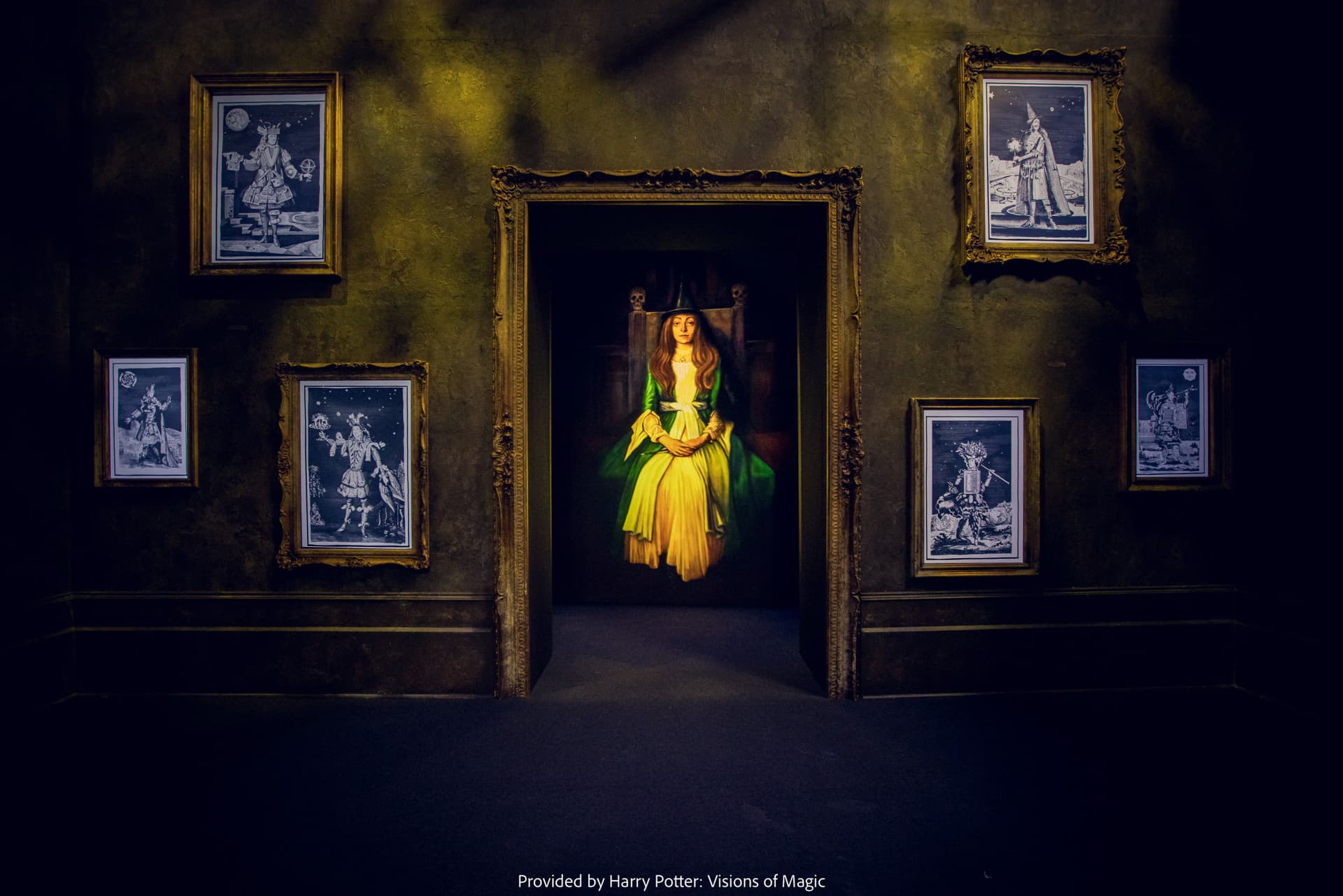Harry Potter: Visiones de la Magia - imagen 15