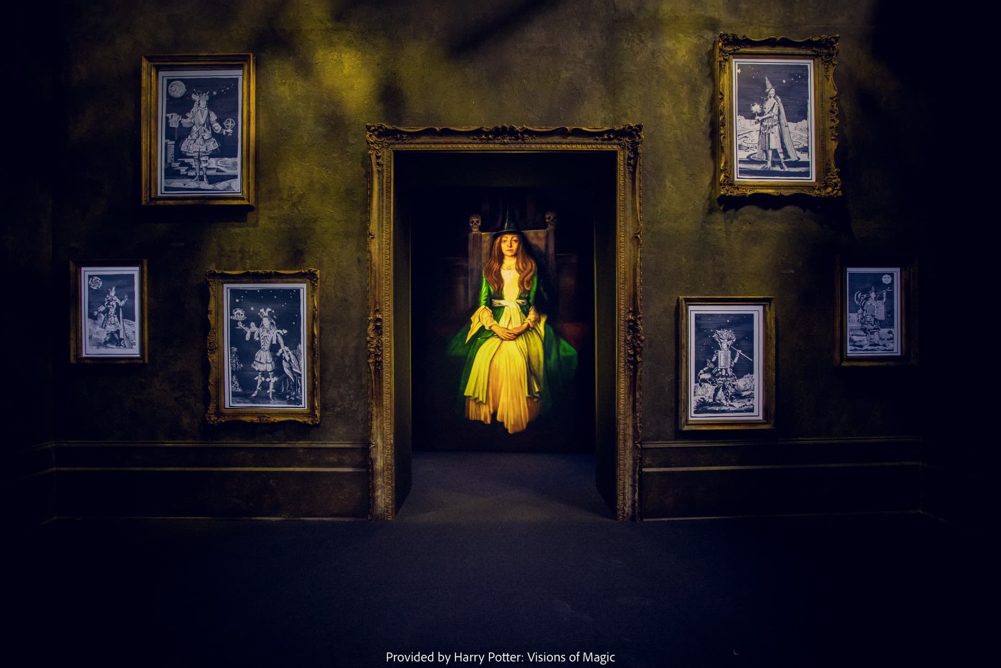 Harry Potter: Visions of Magic - image 15