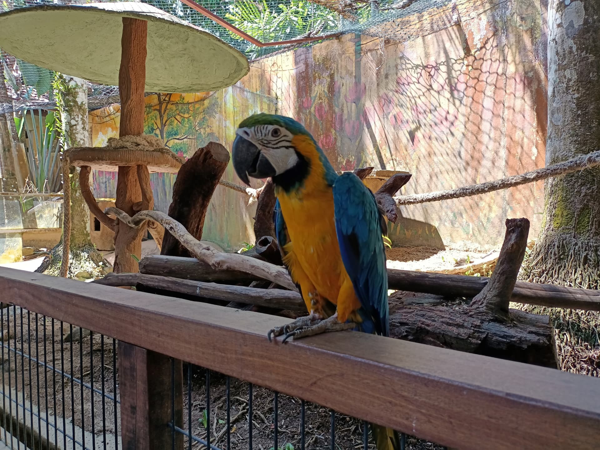Langkawi Wildlife Park - image 7