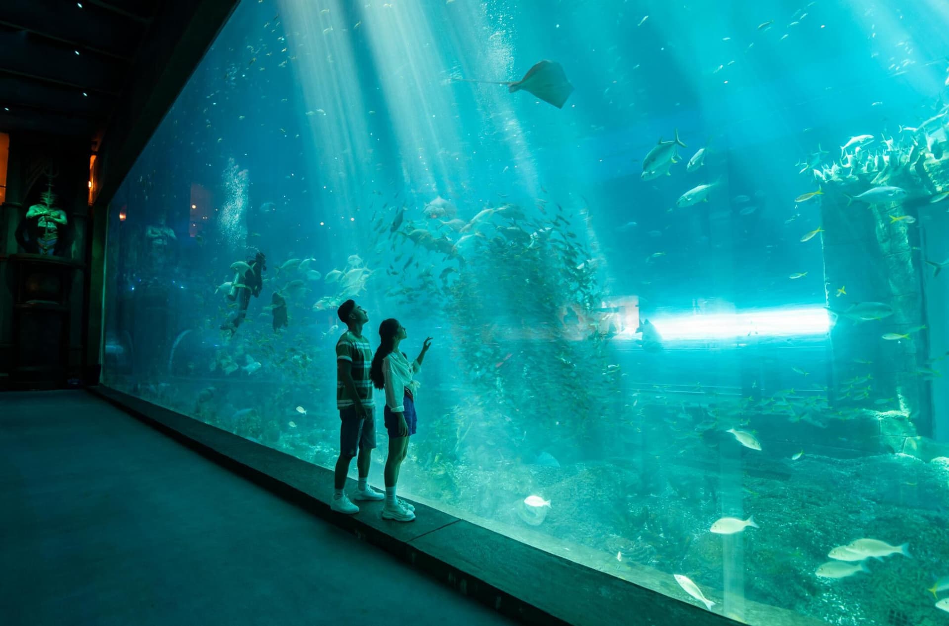 Entrada para el parque de atracciones VinWonders Phu Quoc - imagen 14