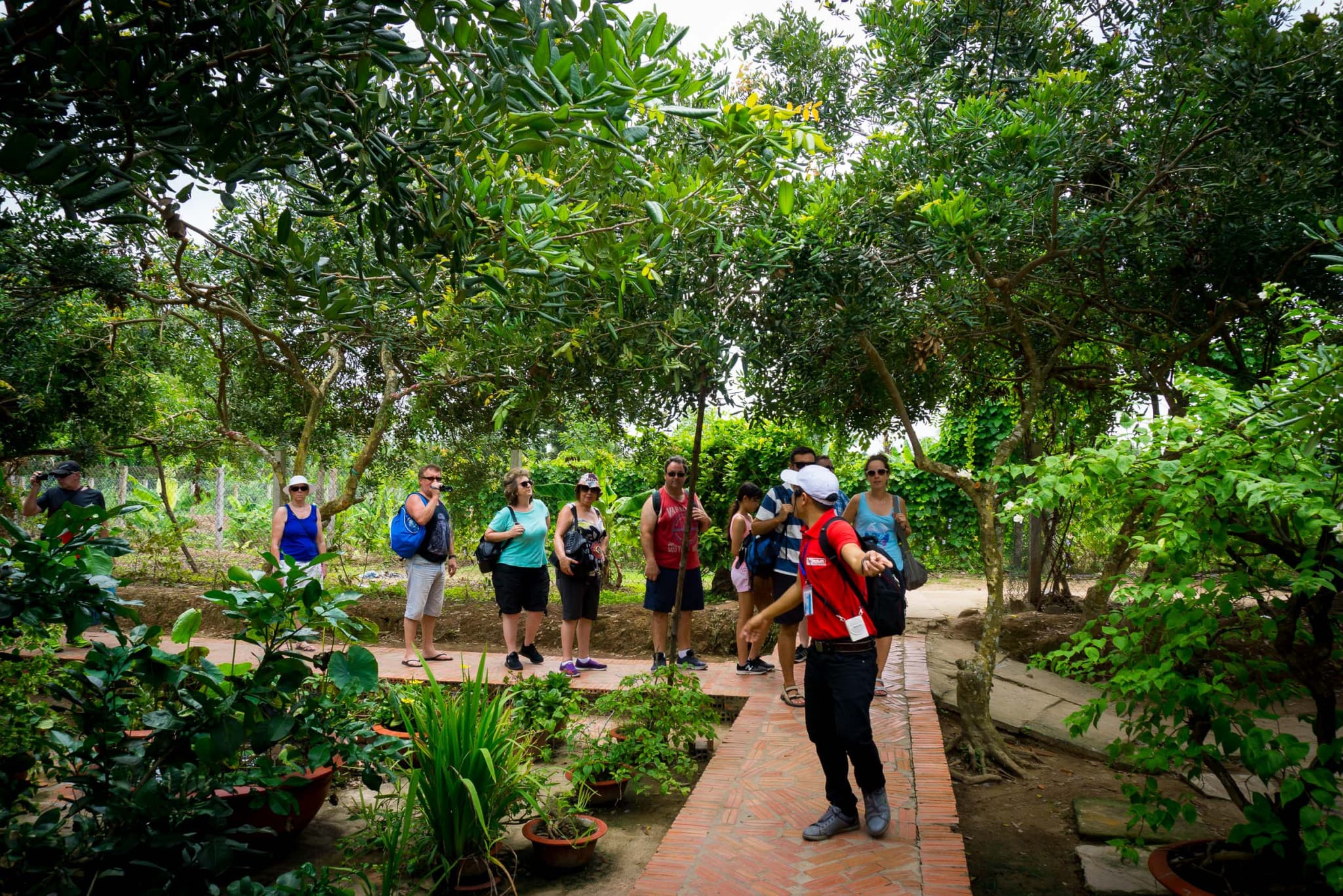 Mekong Delta Full-Day Tour from Ho Chi Minh City - image 6