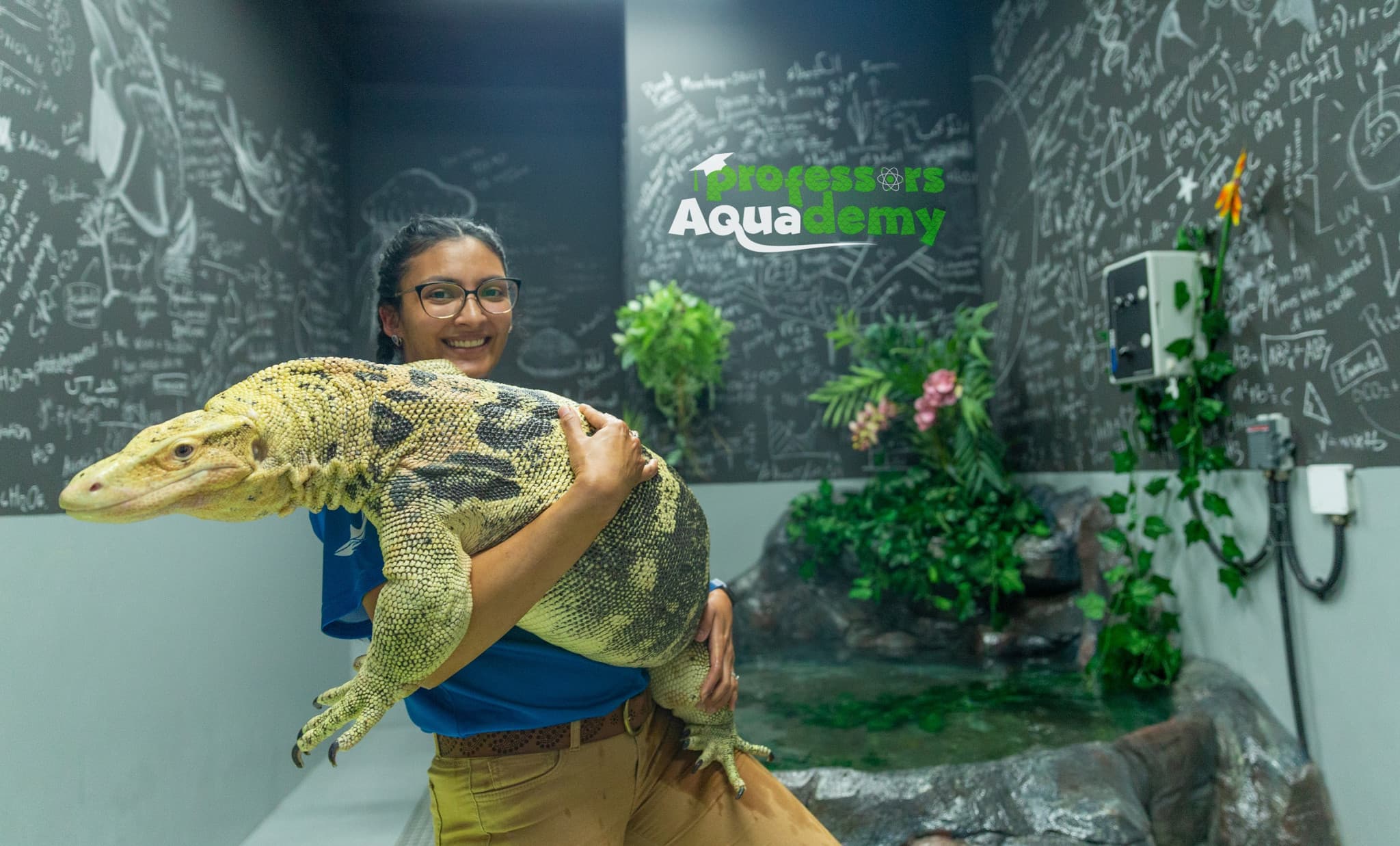 COMBO: The National Aquarium + Louvre Abu Dhabi Tickets - image 4