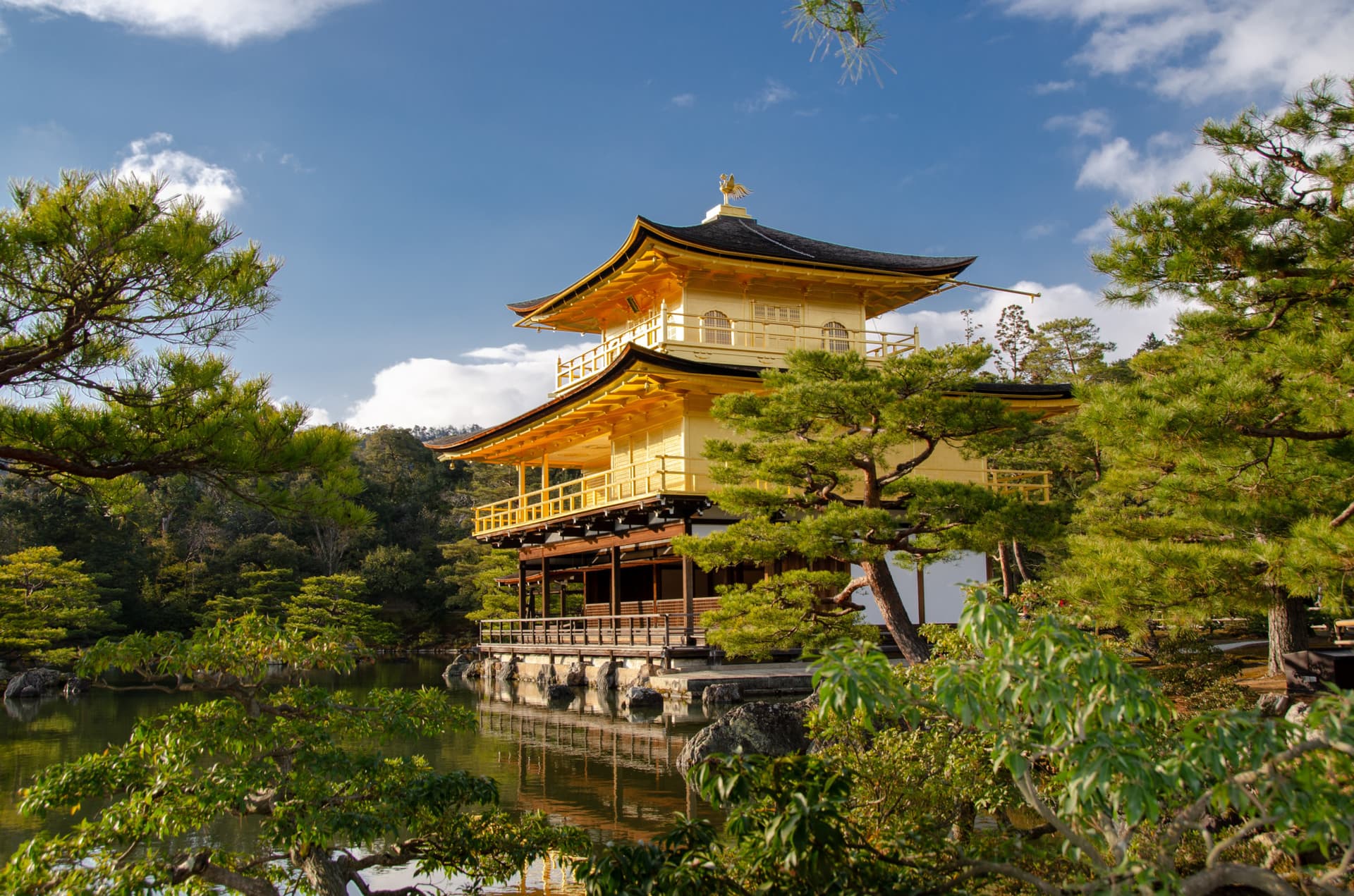 Kyoto and Nara Full-Day Tour from Kyoto - imagen 2