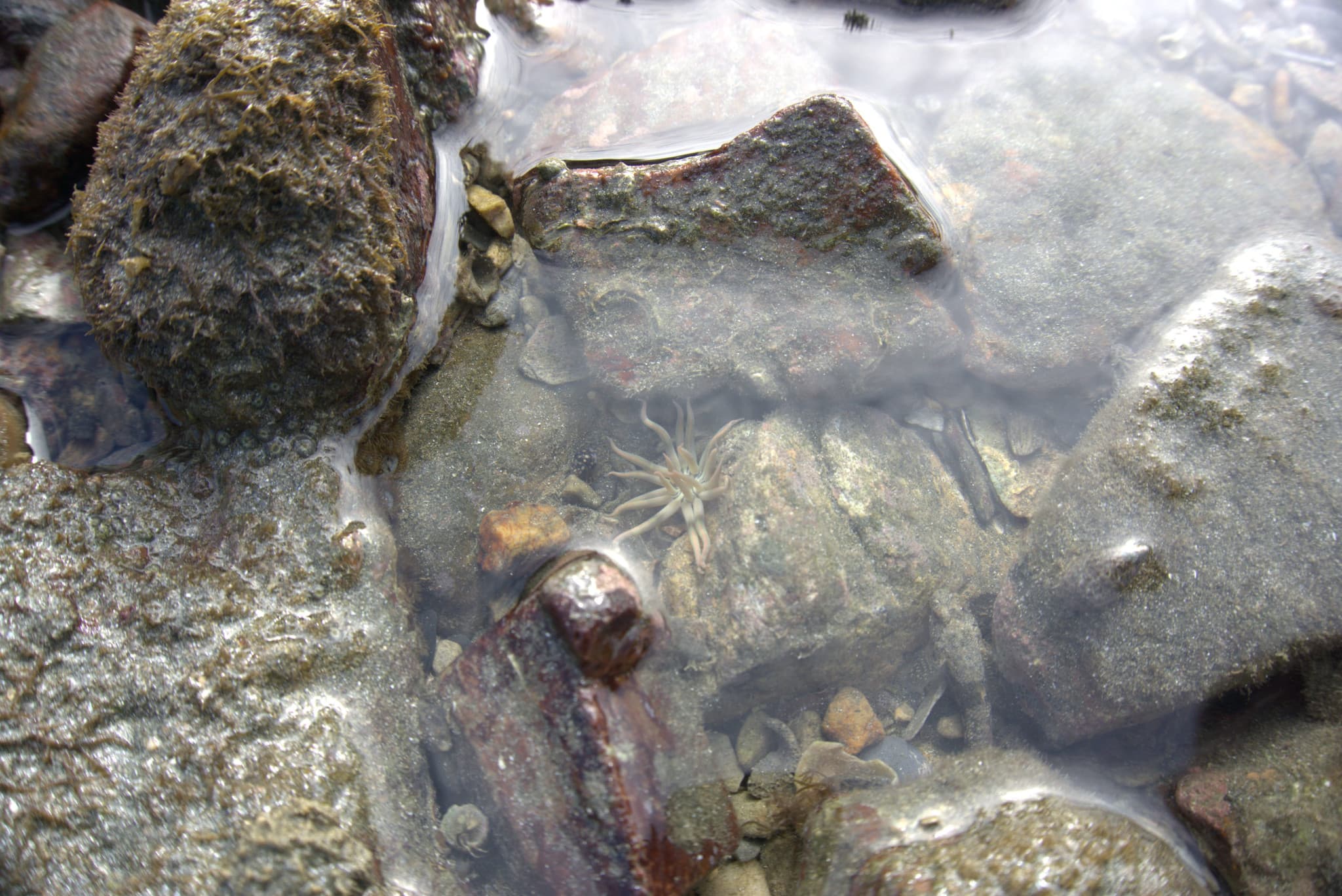 Desaru Beach and Tide Pool Walk - image 33