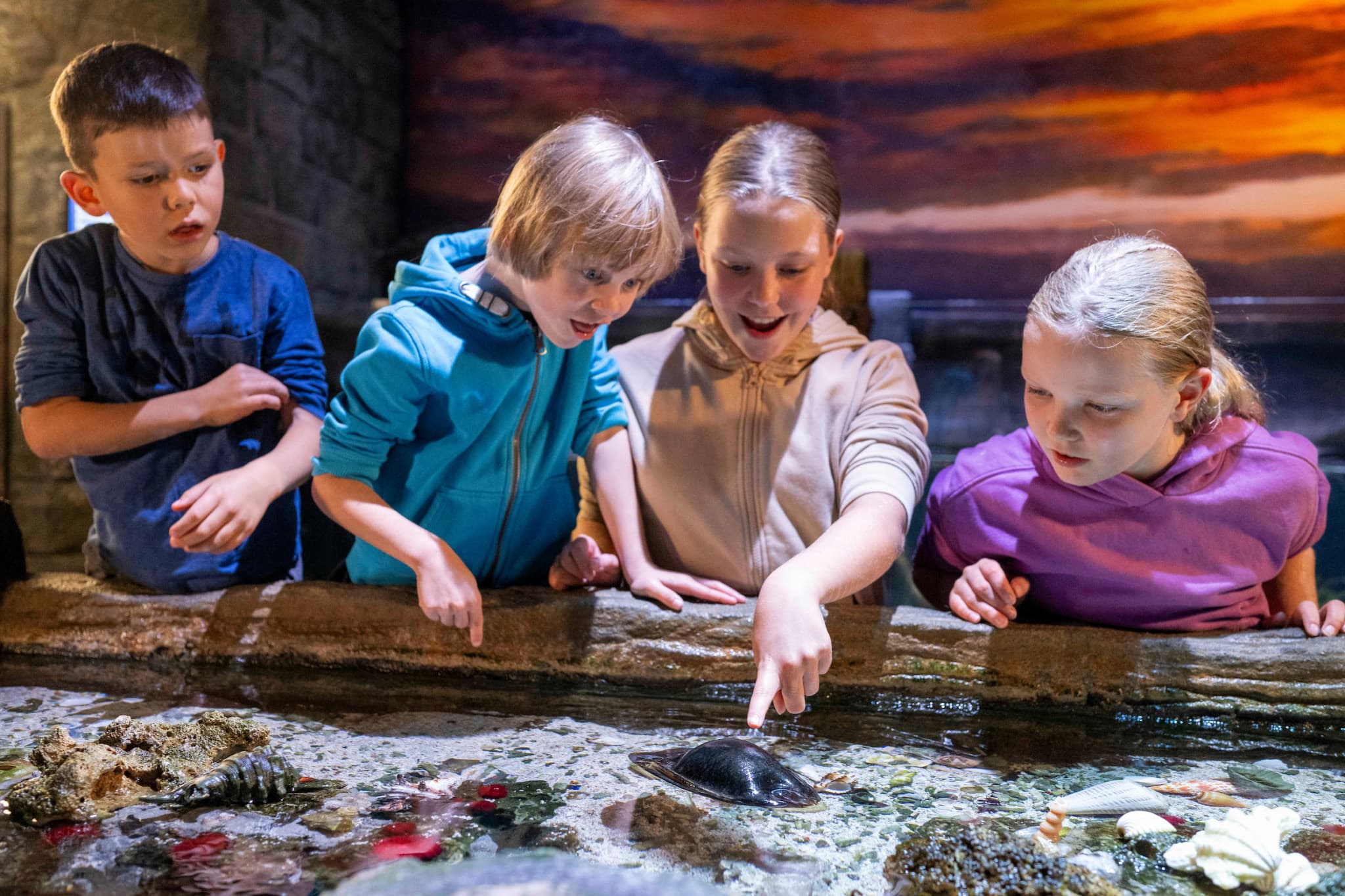 SEA LIFE Munich Aquarium Ticket - main image