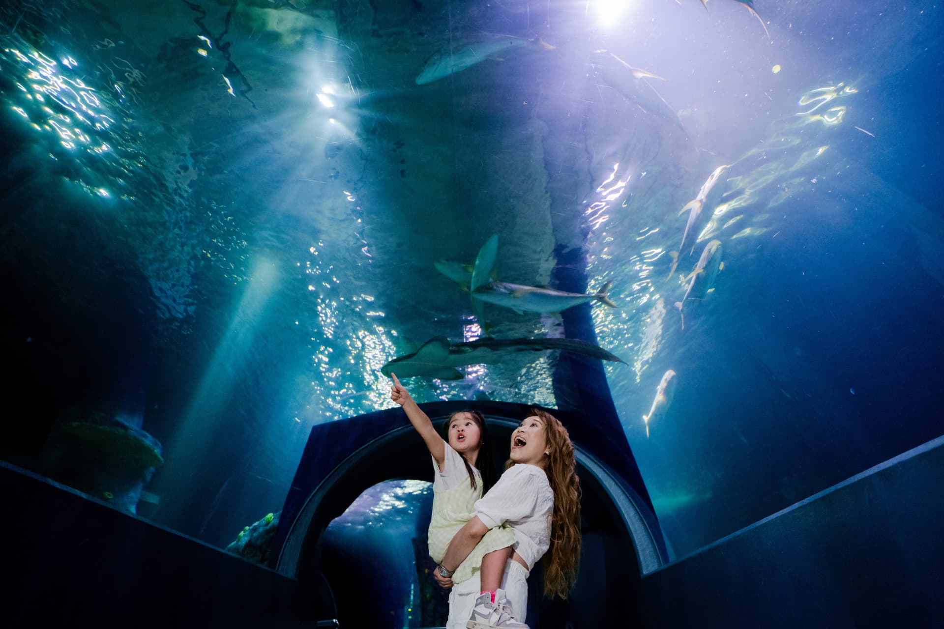 SEA LIFE Melbourne Aquarium Direct Entry Ticket - main image