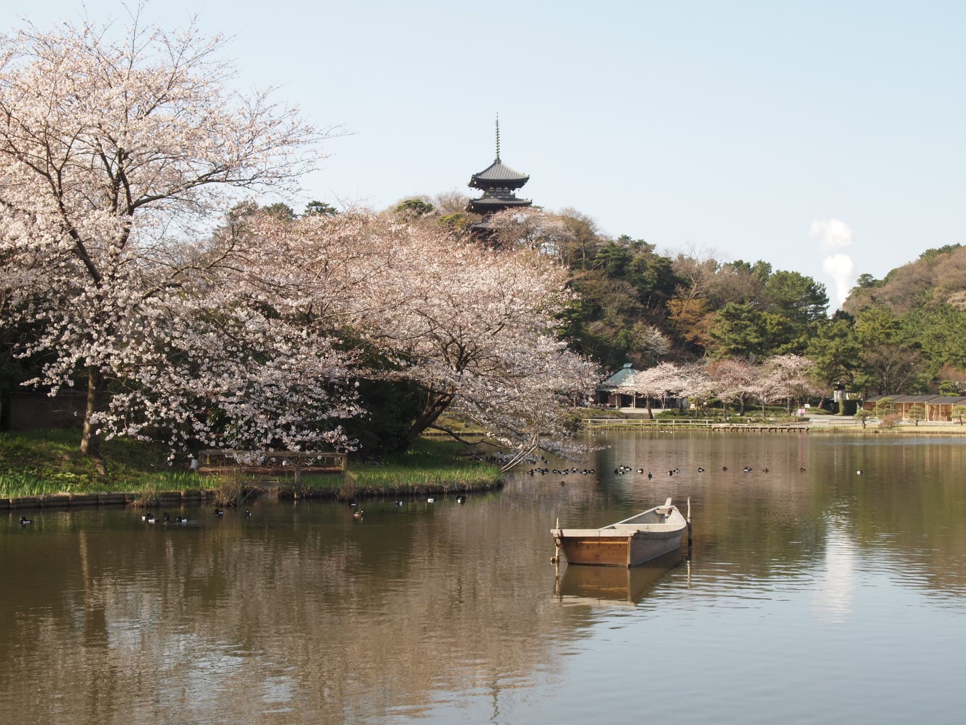 Sankeien Garden Ticket - image 8