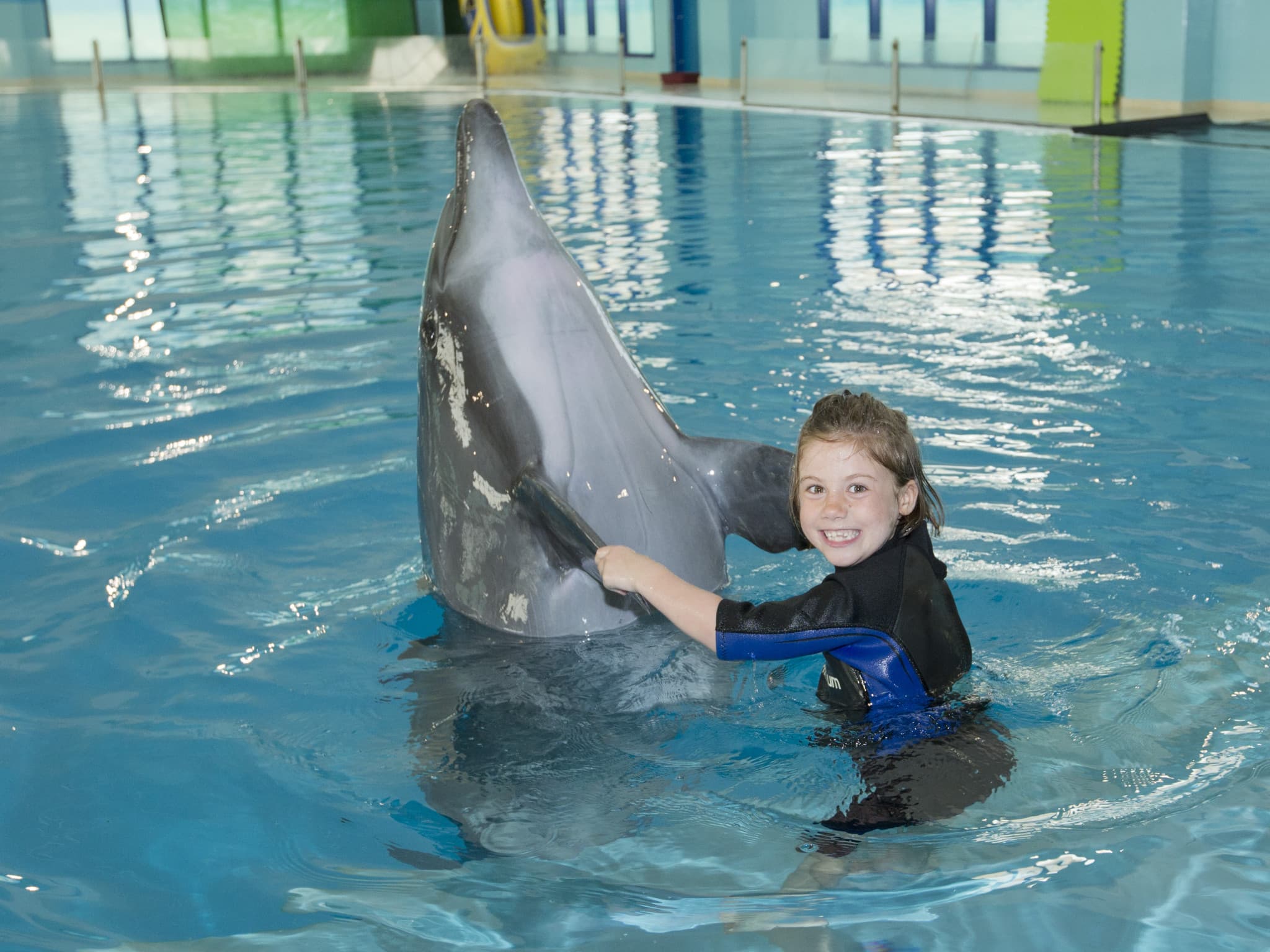 Dubai Dolphinarium Ticket - image 14