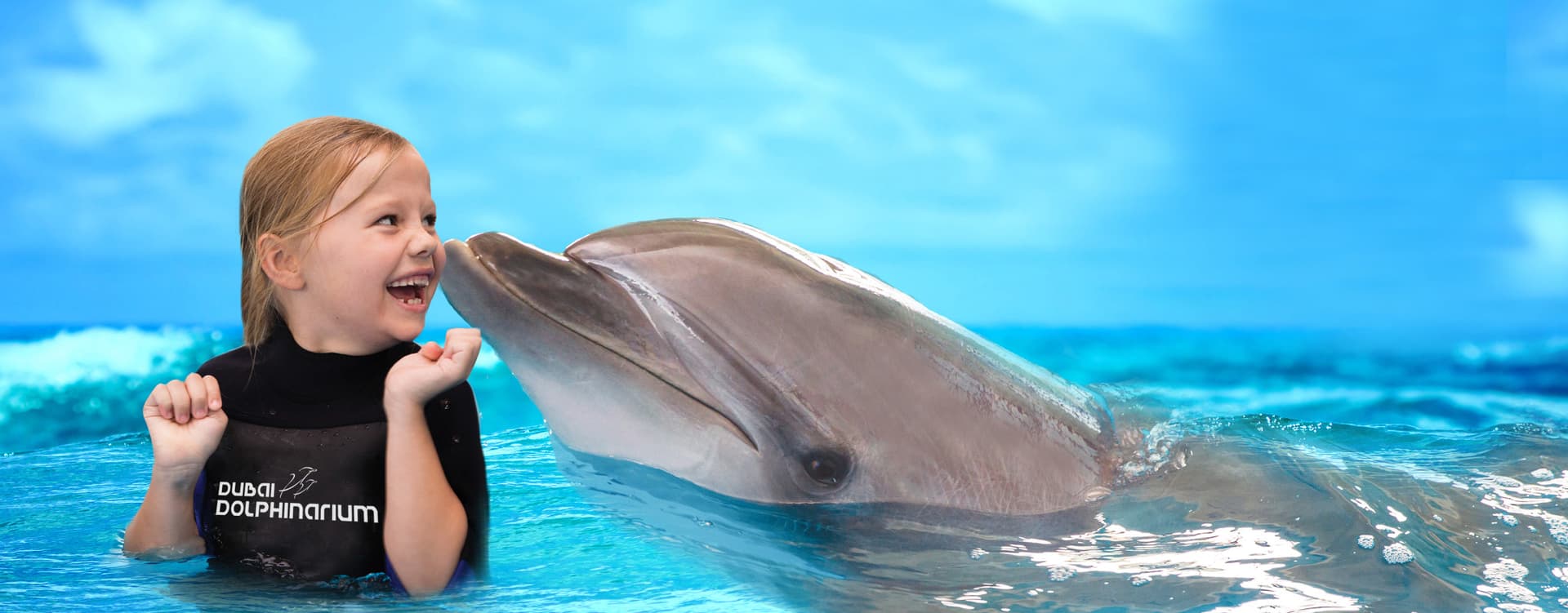 Entrada para Dubai Dolphinarium - imagen 11