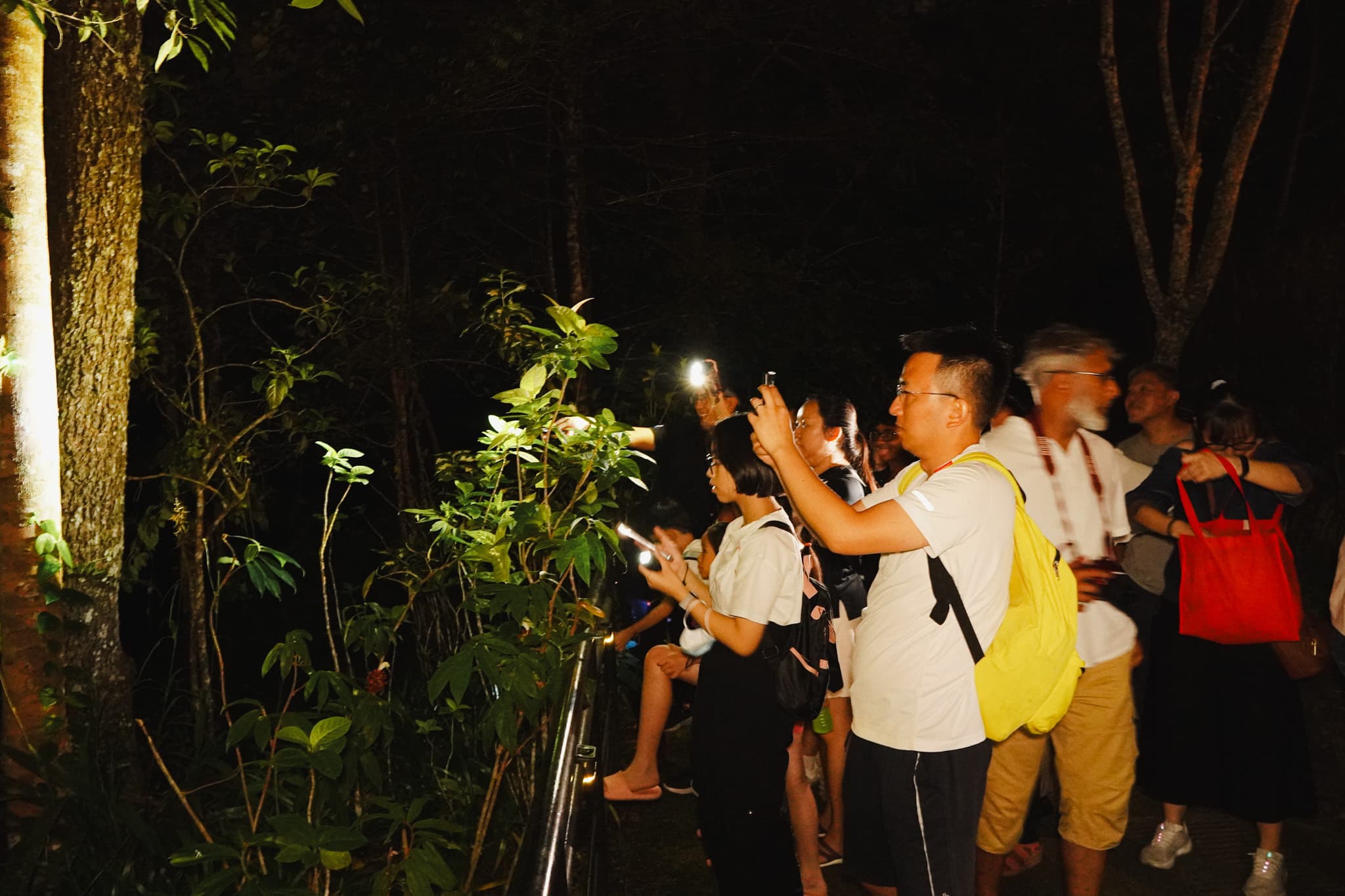 The Habitat Penang Hill Ticket - image 28