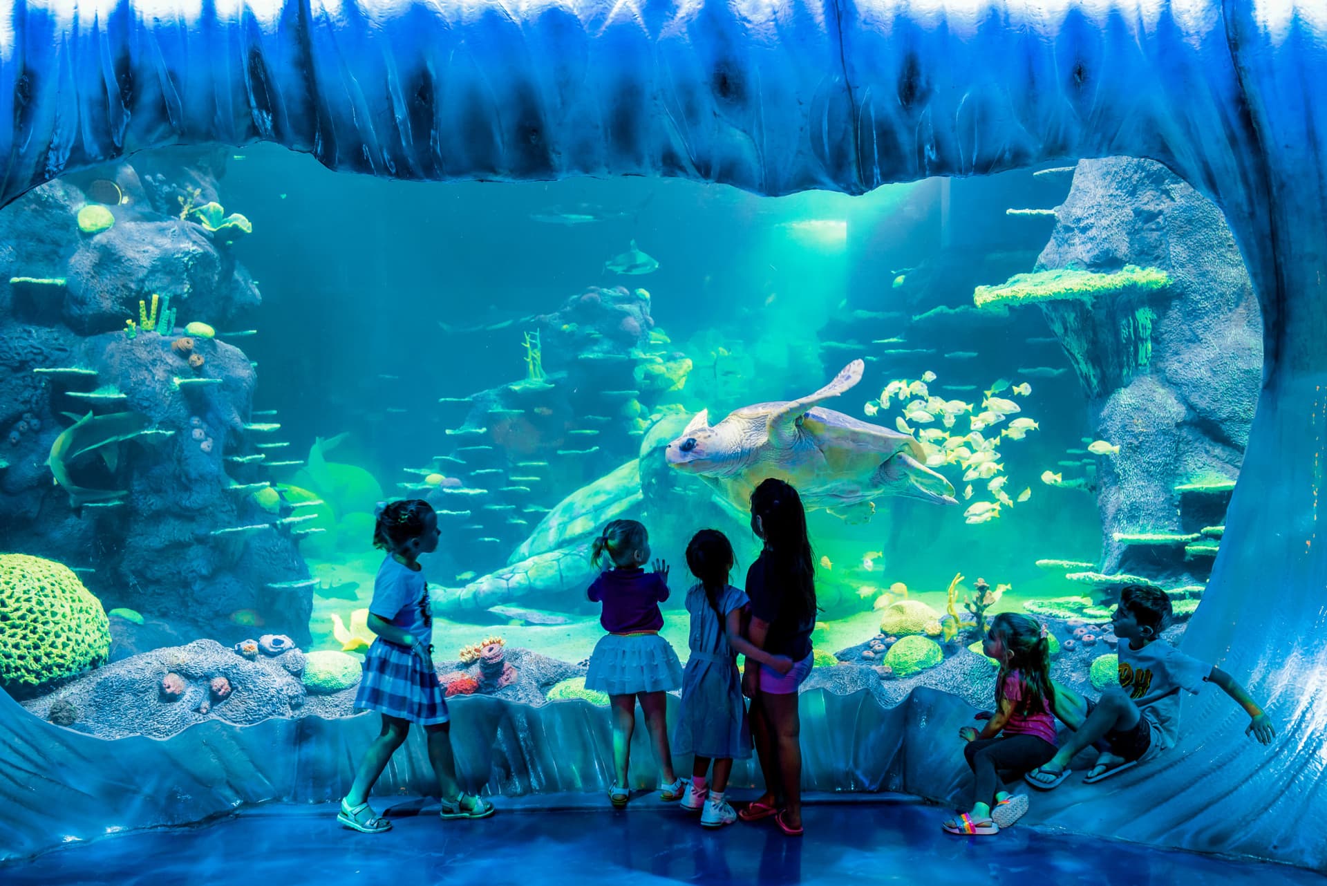 Go City Sydney Pase Todo Incluido: Ahorre hasta un 50% en atracciones - imagen 30