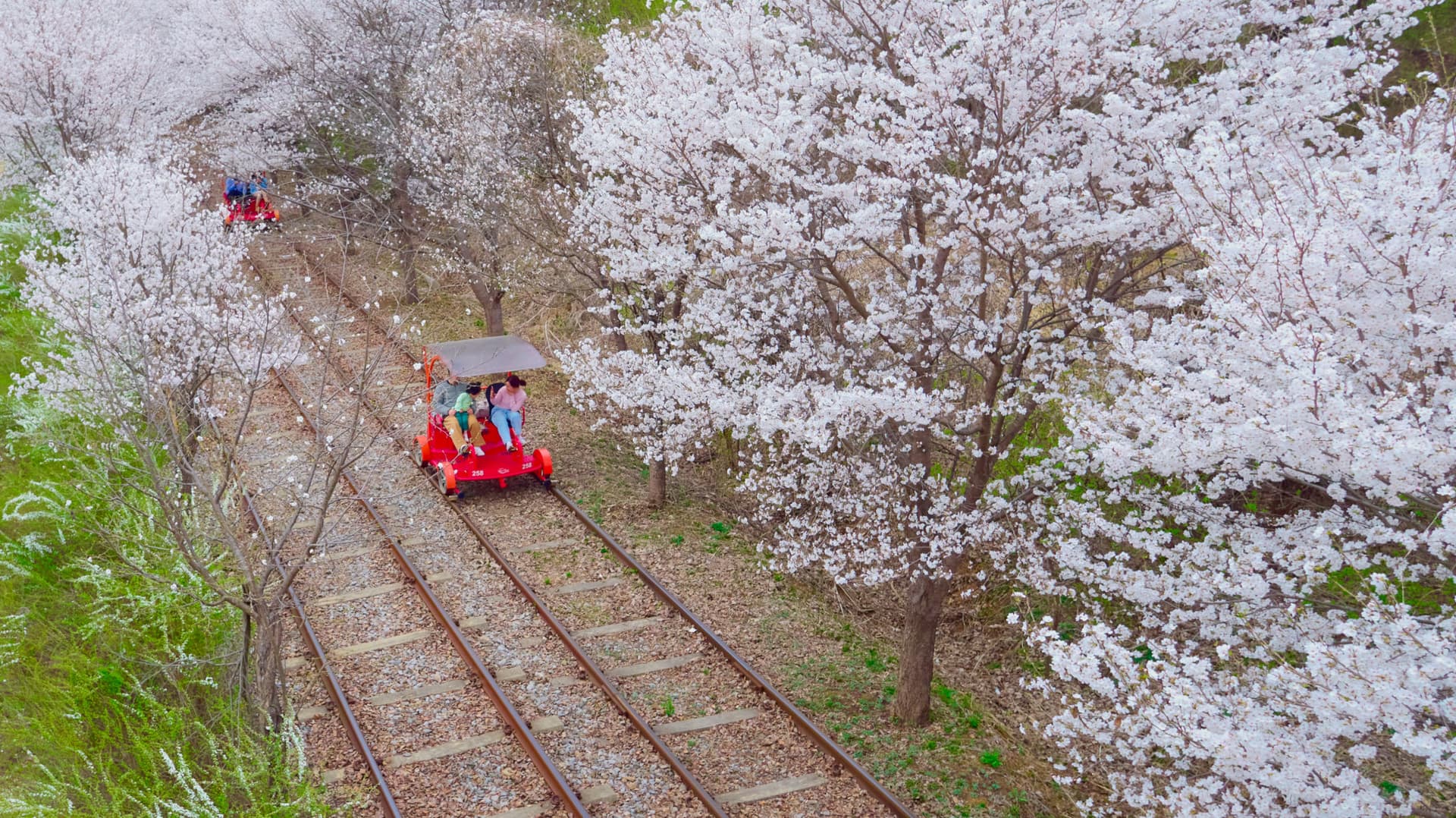 Tour de día completo a la isla de Nami, el monte Seorak y el Rail Bike de Gapyeong desde Seúl - imagen 15