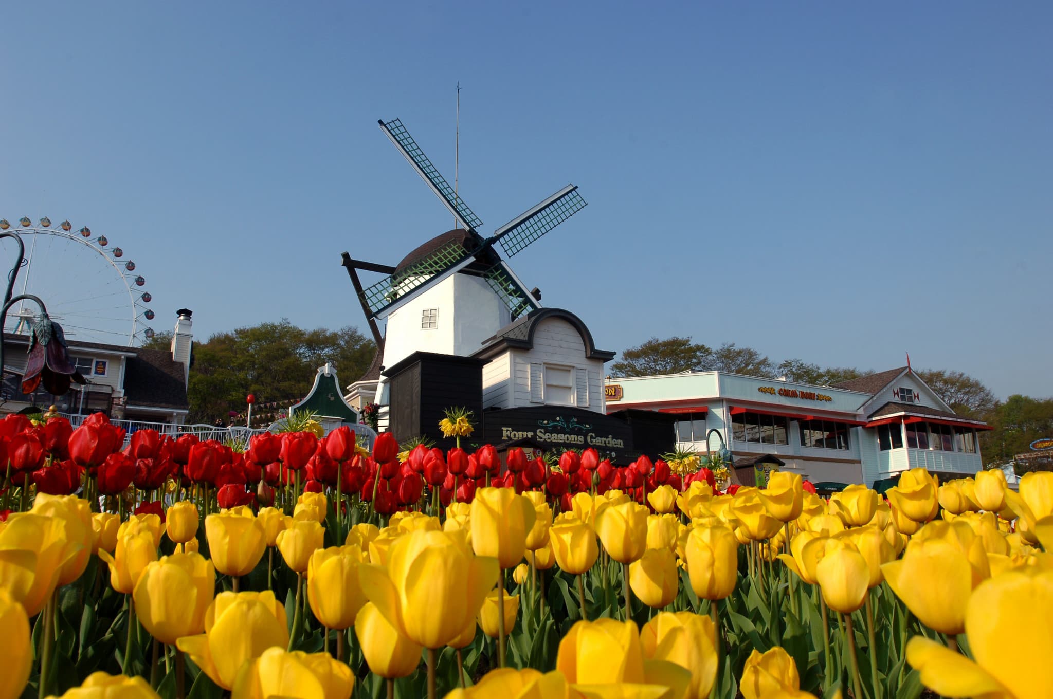Everland Theme Park Ticket - image 11