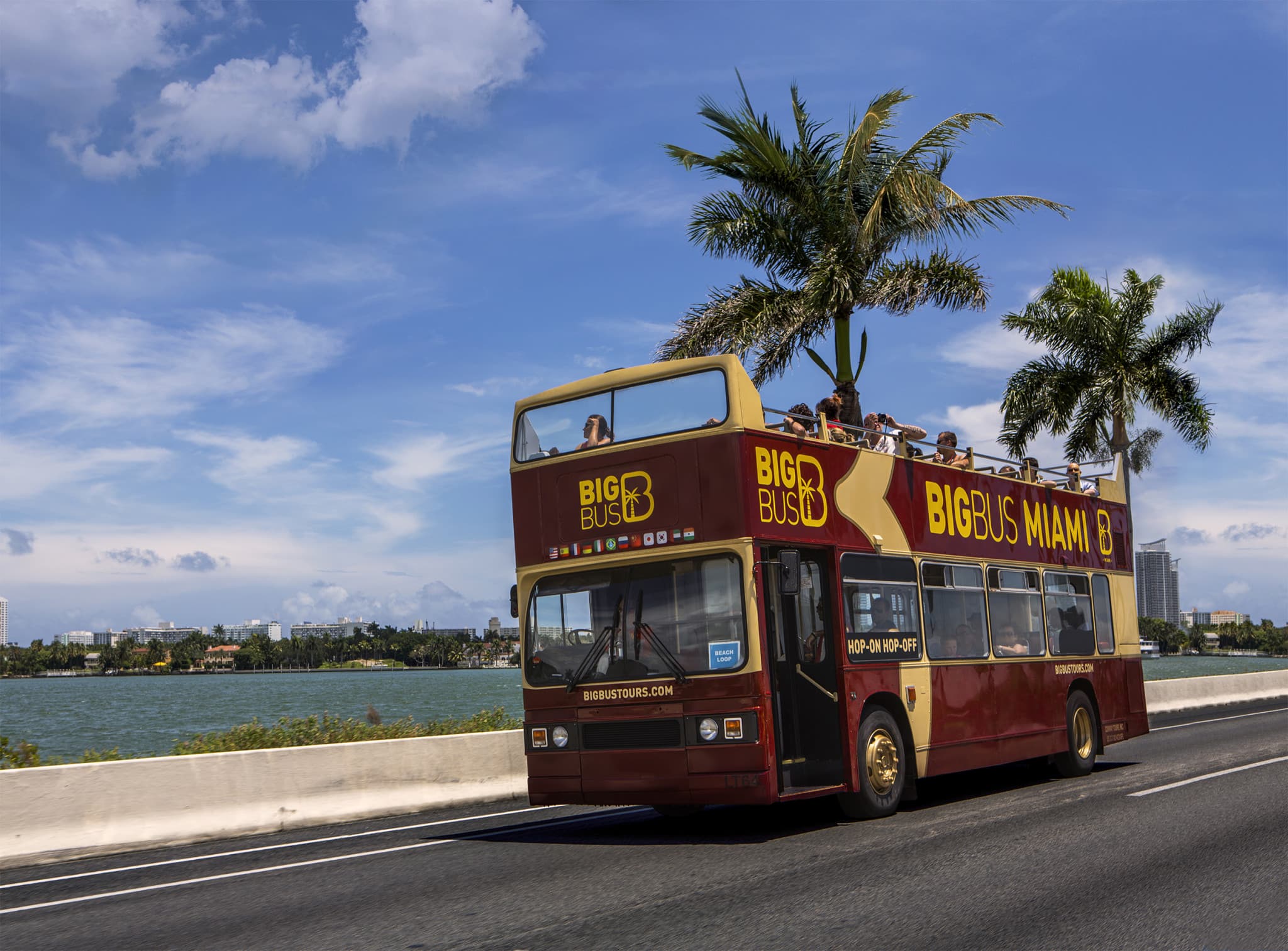Go City Miami Explorer Pass: Save up to 50% on Attractions - image 6