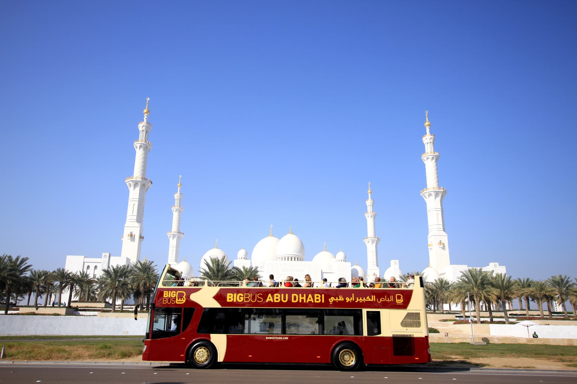 COMBO: Louvre Abu Dhabi + teamLab Phenomena + Big Bus Abu Dhabi Hop-on Hop-off Bus Tour - image 7