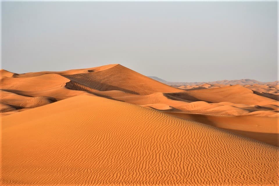 Morning Desert Safari Tour from Dubai - imagen 6