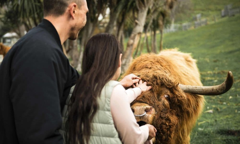 TSS Earnslaw Cruise and Walter Peak Farm Tour - main image