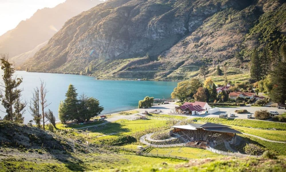 Crucero en el TSS Earnslaw y buffet gourmet de barbacoa en Walter Peak - imagen 5