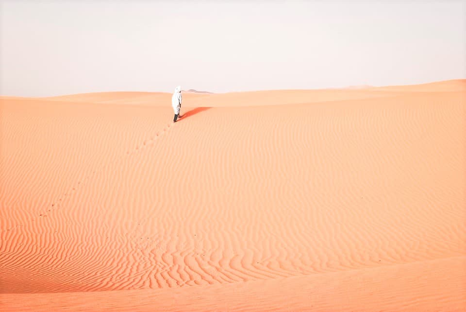 Morning Desert Safari Tour from Dubai - image 3
