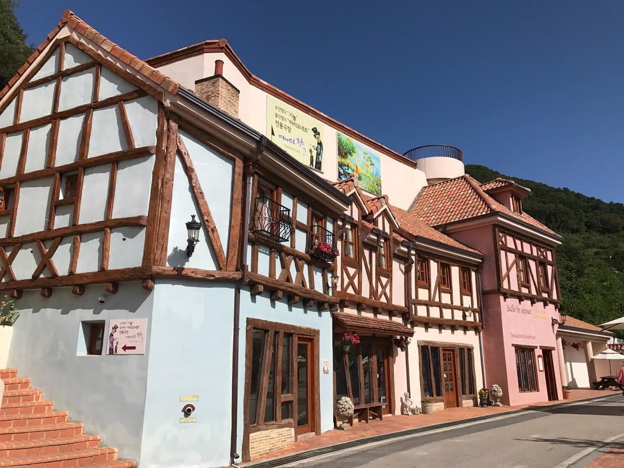 Nami Island, Petite France, and Italian Village Tour from Seoul - image 8