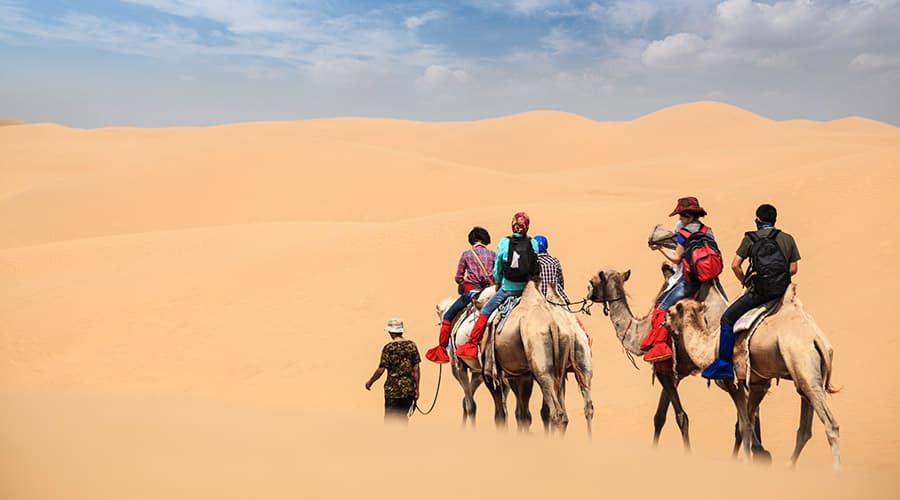 Morning Desert Safari Tour from Dubai - main image