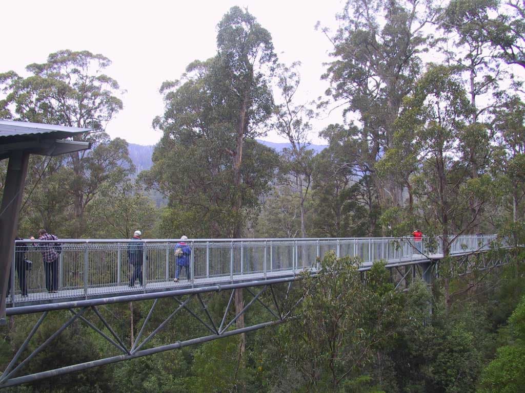 Huon Valley Tour - image 10