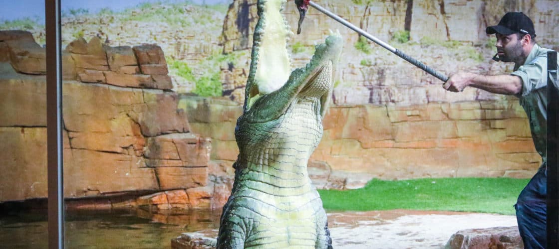 Ballarat Wildlife Park Tickets - image 3
