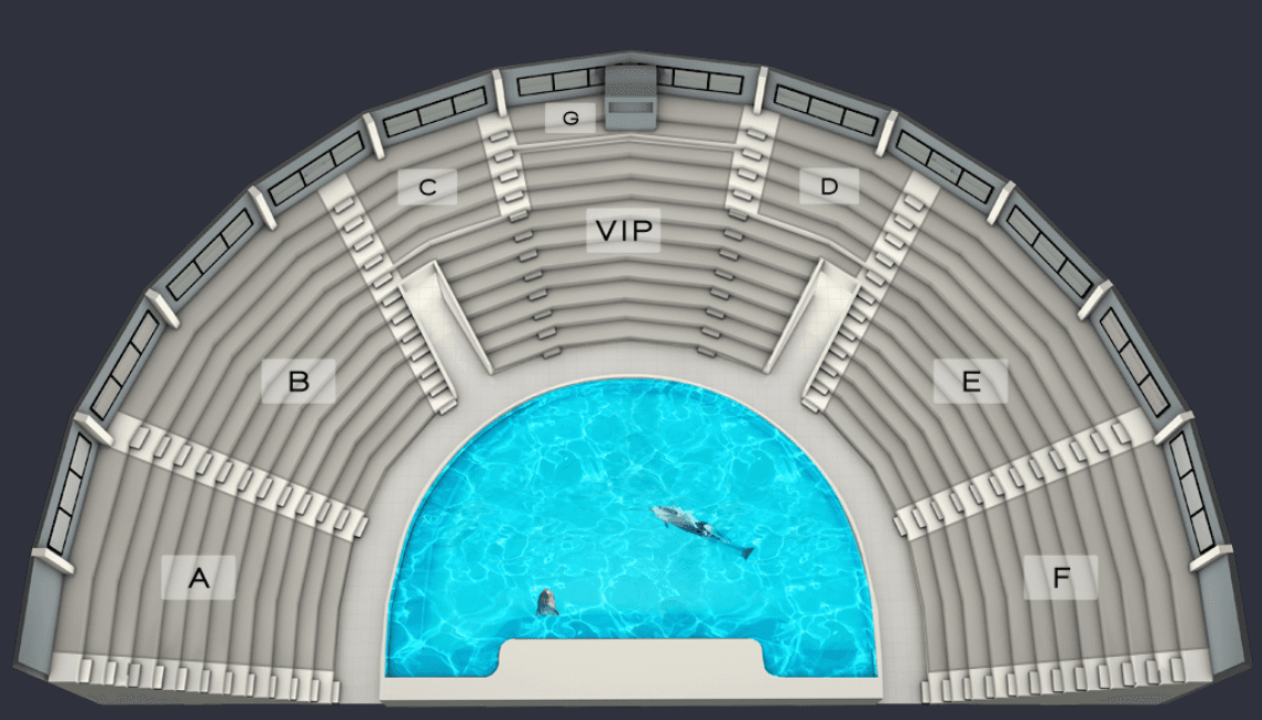 Dubai Dolphinarium Ticket - image 15