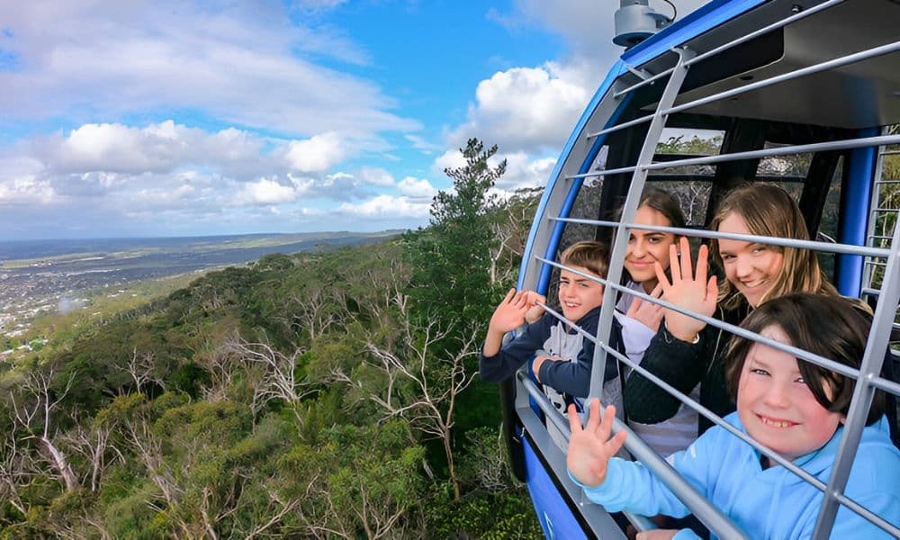 Arthur’s Seat Eagle Cable Car Ride Over the Mornington Peninsula - image 6