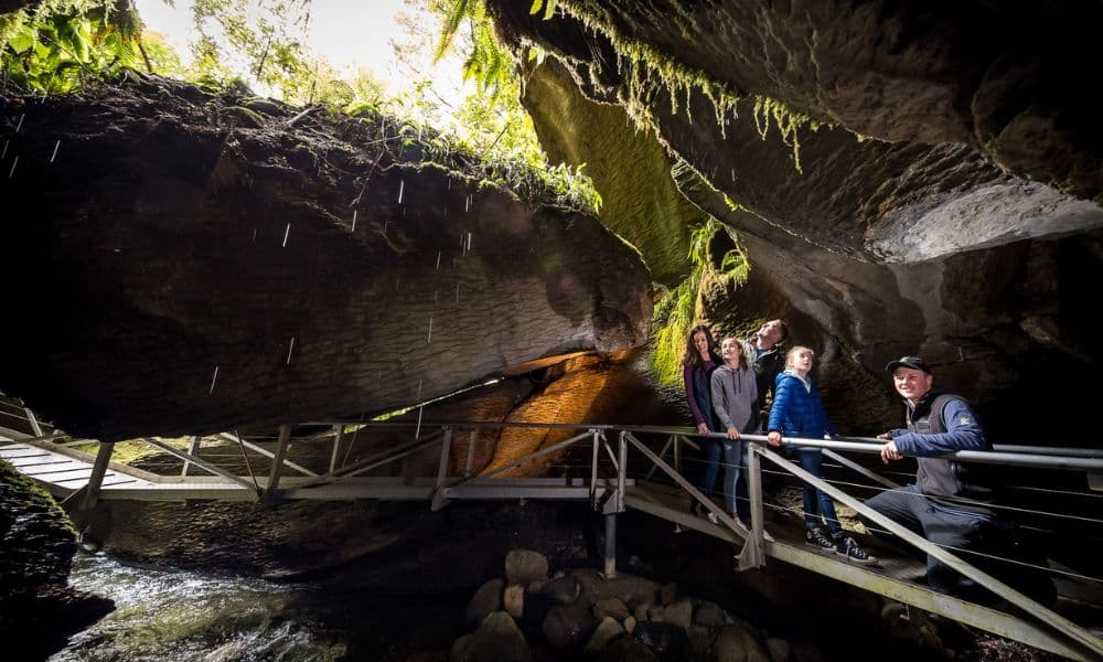 Te Anau Glowworm Caves Tour - image 5