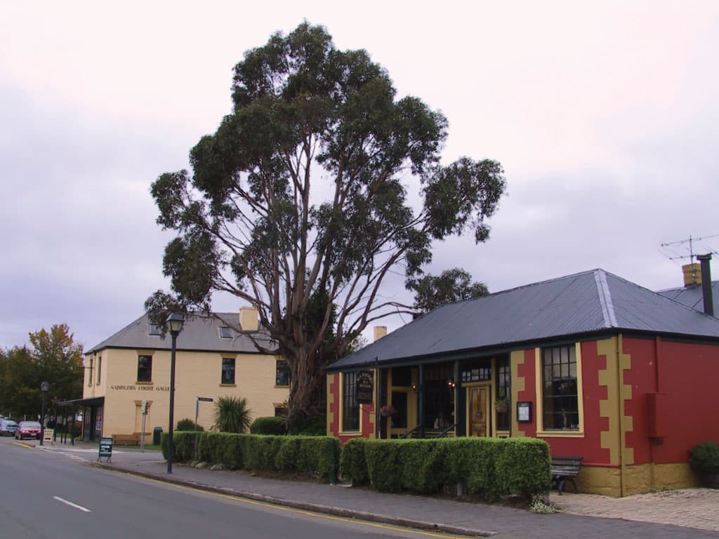 Mount Wellington and Hobart City Tour - image 8