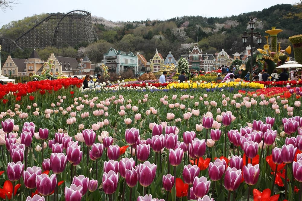 Everland Theme Park Ticket - imagen 21